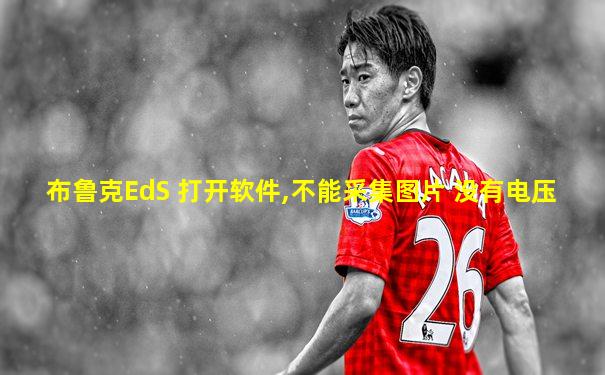 布鲁克EdS 打开软件,不能采集图片 没有电压